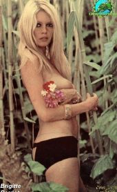 Nahá Brigitte Bardot. Fotka - 21